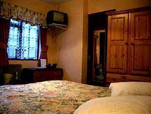 Blossoms York Guesthouse Εξωτερικό φωτογραφία